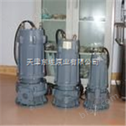WQ系列潜污泵，QZ系列潜水轴流泵，QSK系列矿用潜水泵，中国水泵之乡，潜水泵网址