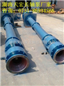 唐山市立式长轴泵厂家天宏专业制造唐山市立式长轴泵