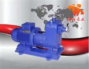 自吸泵生產廠商，自吸泵技術，ZCQ型磁力自吸泵