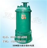 BQS150-50-55专业生产矿用隔爆型潜水排沙电泵