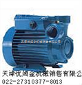 天津【进口】科沛达旋涡泵CT61系列旋涡泵水泵