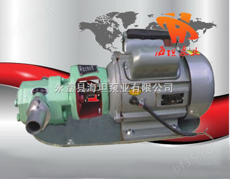 WCB型微型齿轮油泵,不锈钢齿轮泵,微型齿轮泵,手提式油泵