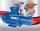 温州海坦牌生产 CWB型磁力驱动旋涡泵