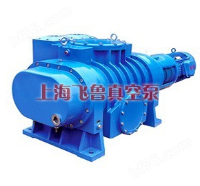 ZJP型罗茨真空泵（上海真空泵厂家、型号、原理、结构）