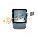 信远XY-NFC9140节能型广场灯