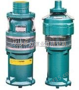 益阳大地牌QY型油浸式（井用）潜水泵湖南华力潜水泵公司简介