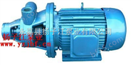 漩涡泵厂家:1W型单级漩涡泵