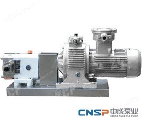 RP系列不锈钢转子泵（出口型）-上海中成泵业