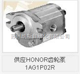 1AG1P02R供应HONOR齿轮泵1AG1P02R