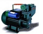 1ZDB-65型自吸清水电泵 750W 1ZDB自吸泵
