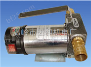 SWL型加油泵　直流输油泵　柴油加油泵