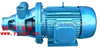 漩涡泵厂家:1W型单级漩涡泵
