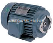 中国台湾CNS-2934电机 CNS-2934油压电机