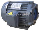 中国台湾THREE-PHASE INDUCTION MOTOR电机YI-SHING油泵电机