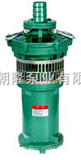 QS40-30/2-5.5潜水电泵|QS充水式潜水电泵|喷泉泵