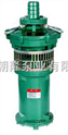 潜水电泵|QS充水式潜水电泵|喷泉泵